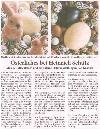 Kreisjournal Greiz - 20.03.2026